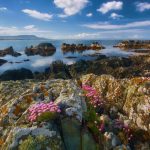 Ireland