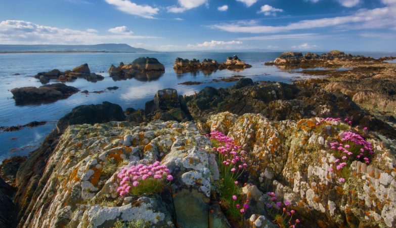 Ireland